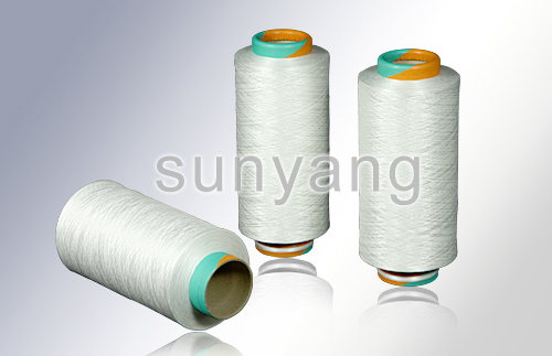 PBT 400D Elastic Yarn